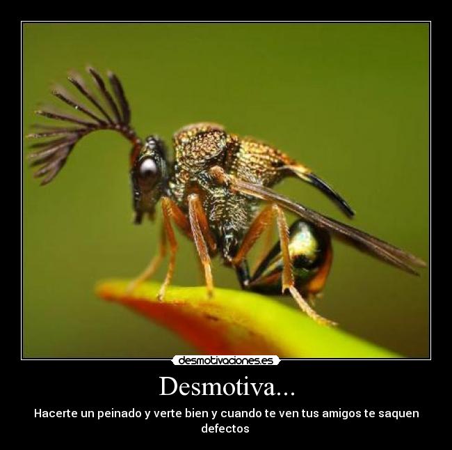 Desmotiva... -