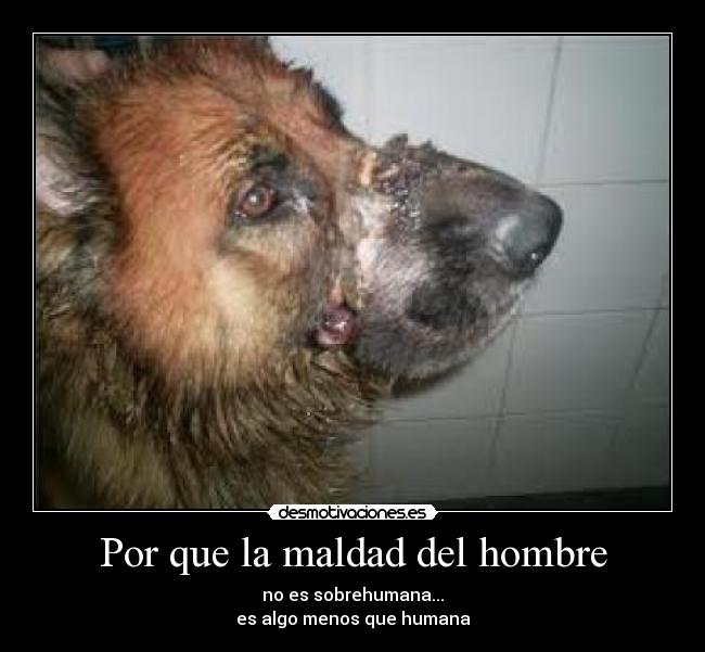 Por que la maldad del hombre - no es sobrehumana...
es algo menos que humana