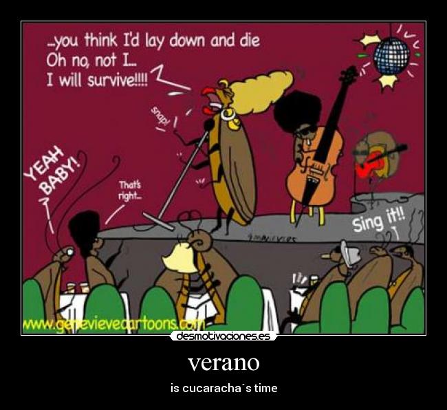carteles verano cucarachas desmotivaciones