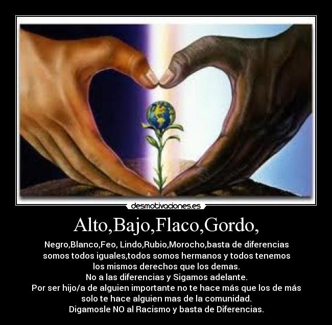 Alto,Bajo,Flaco,Gordo, -