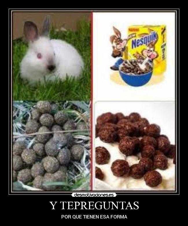 Y TEPREGUNTAS -