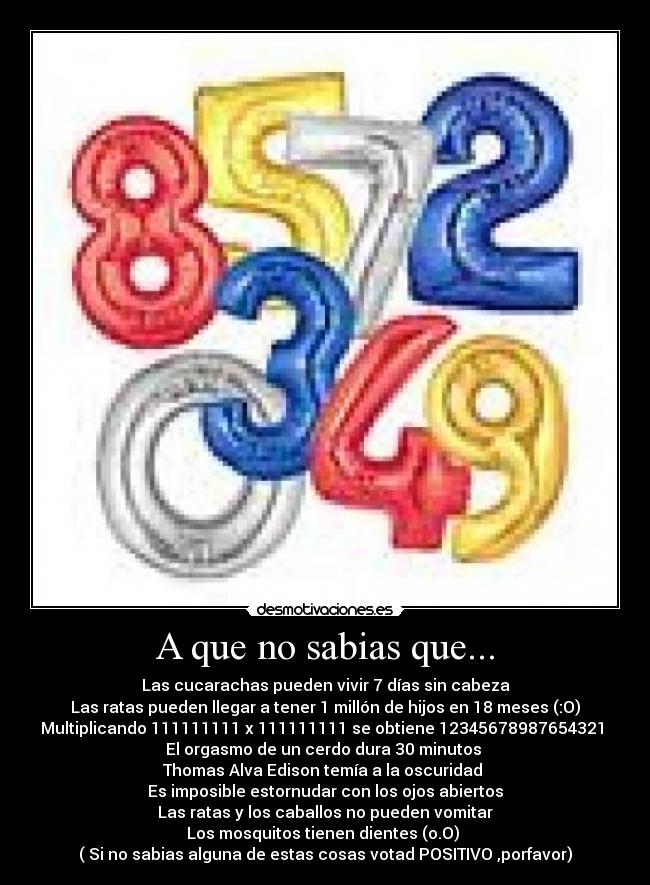 A que no sabias que... - Las cucarachas pueden vivir 7 días sin cabeza
Las ratas pueden llegar a tener 1 millón de hijos en 18 meses (:O)
Multiplicando 111111111 x 111111111 se obtiene 12345678987654321
El orgasmo de un cerdo dura 30 minutos
Thomas Alva Edison temía a la oscuridad
Es imposible estornudar con los ojos abiertos
Las ratas y los caballos no pueden vomitar
Los mosquitos tienen dientes (o.O)
( Si no sabias alguna de estas cosas votad POSITIVO ,porfavor)