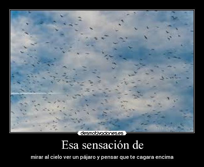 carteles  desmotivaciones