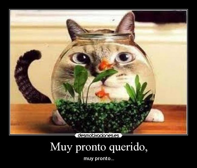 Muy pronto querido, -