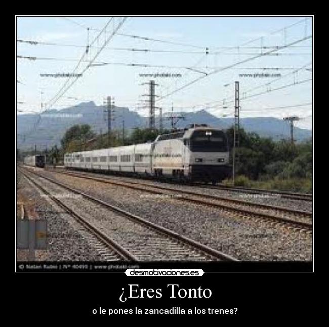 ¿Eres Tonto - 