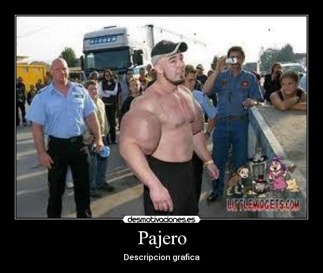 Pajero - Descripcion grafica