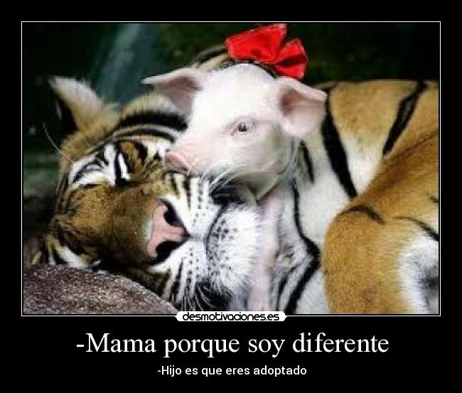 -Mama porque soy diferente - 