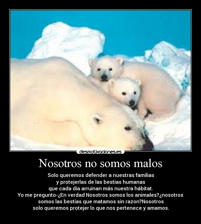 Nosotros no somos malos - 