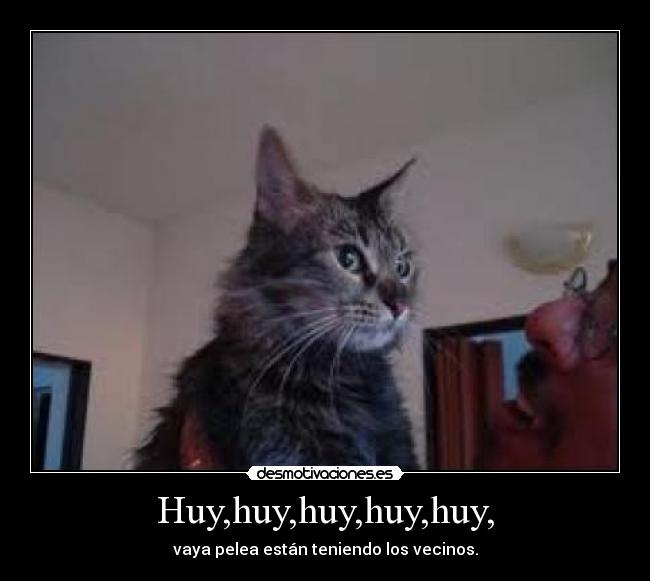 Huy,huy,huy,huy,huy, - 