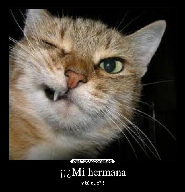 ¡¡¿Mi hermana - y tú qué?!!
