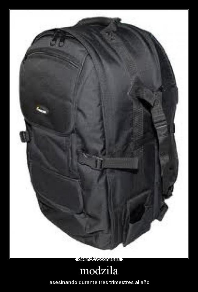 modzila - asesinando durante tres trimestres al año