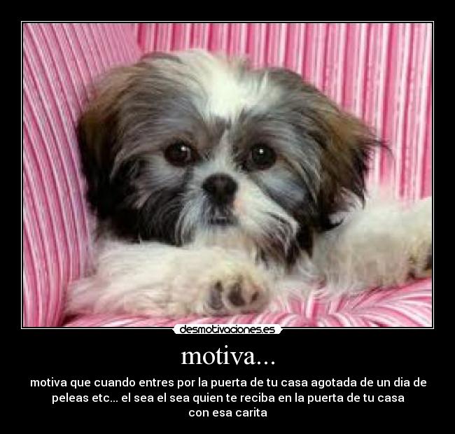 motiva... - motiva que cuando entres por la puerta de tu casa agotada de un dia de
peleas etc... el sea el sea quien te reciba en la puerta de tu casa
con esa carita