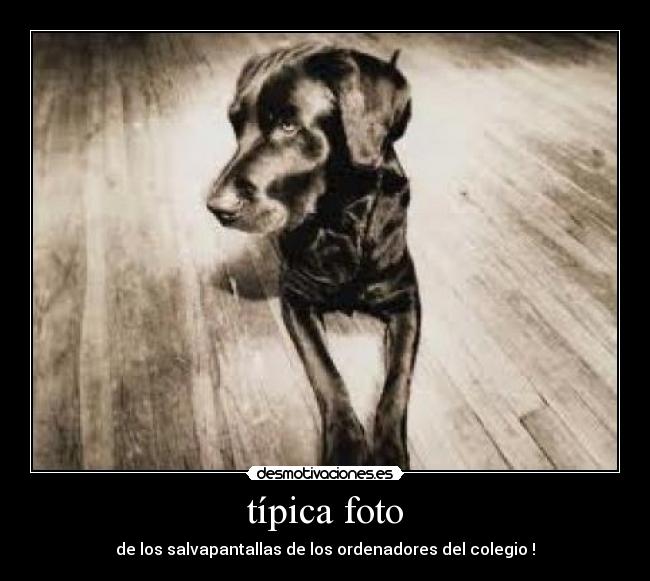 típica foto -