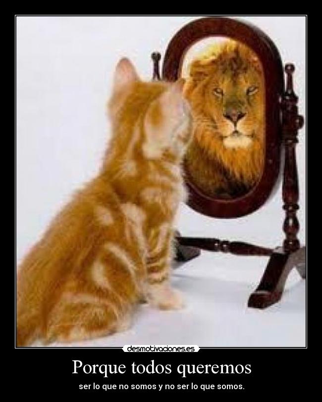 Porque todos queremos - 