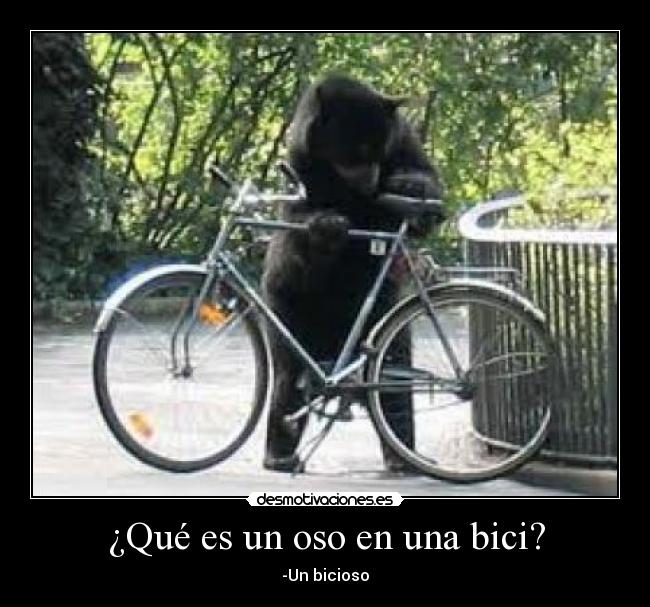 ¿Qué es un oso en una bici? - -Un bicioso