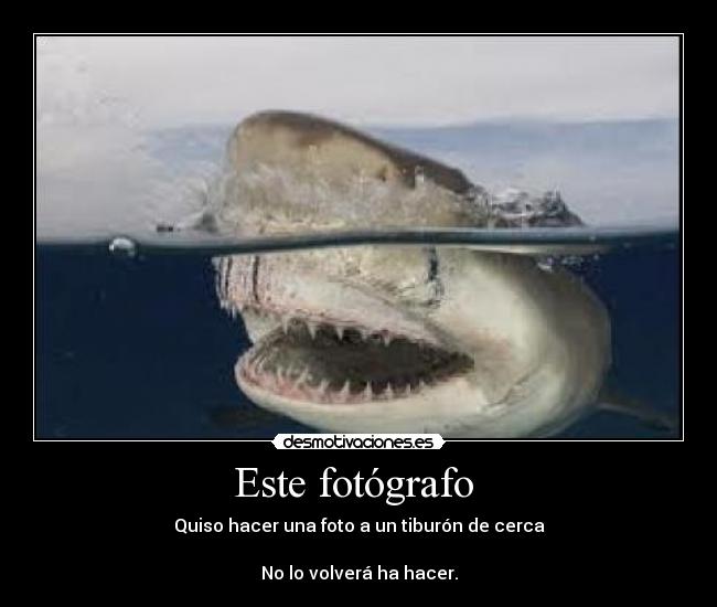 Este fotógrafo - Quiso hacer una foto a un tiburón de cerca
No lo volverá ha hacer.
