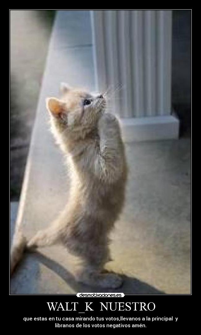 WALT_K NUESTRO -