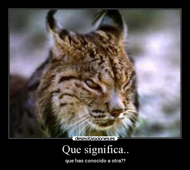 Que significa.. - que has conocido a otra??