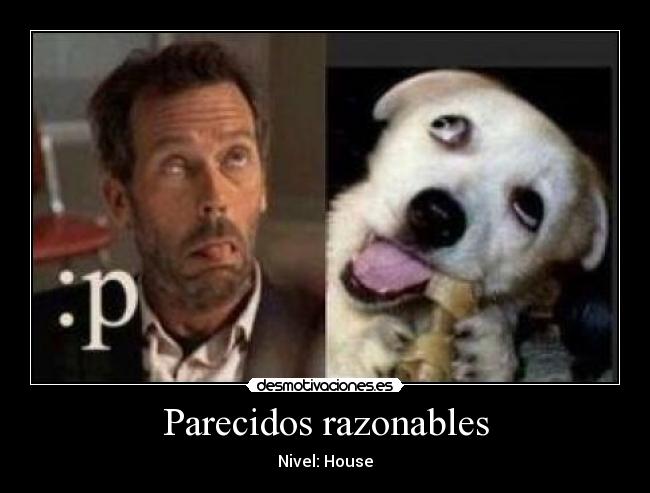 Parecidos razonables - 