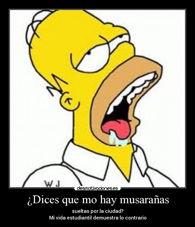 ¿Dices que mo hay musarañas -