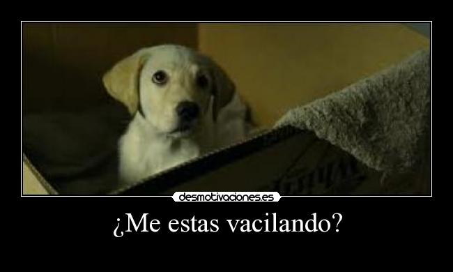 ¿Me estas vacilando? -