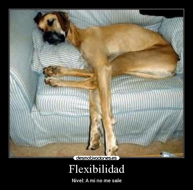 Flexibilidad - Nivel: A mi no me sale