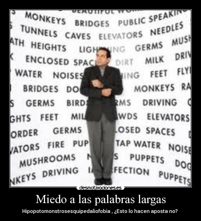 Miedo a las palabras largas -