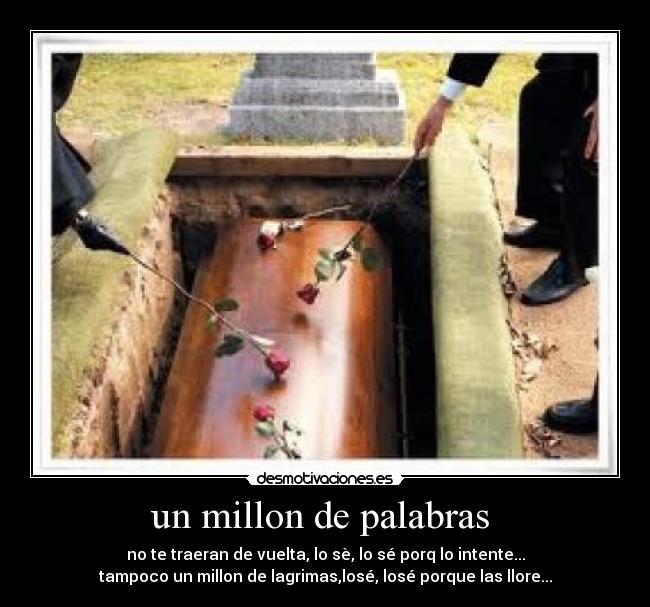 un millon de palabras -