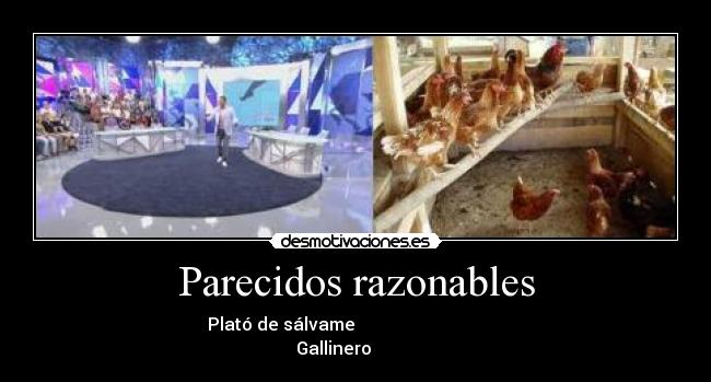 Parecidos razonables -