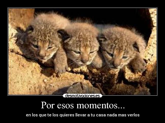 Por esos momentos... -