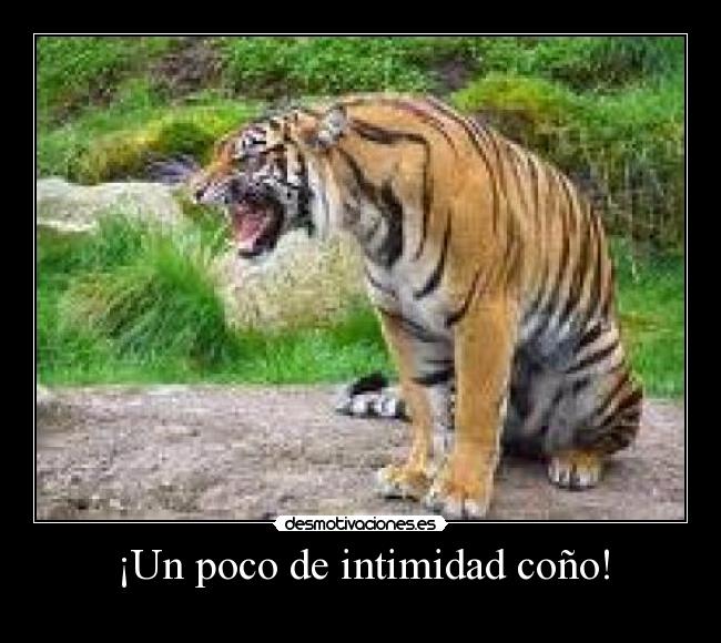 carteles asdf desmotivaciones