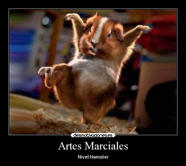 Artes Marciales - Nivel:Hamster
