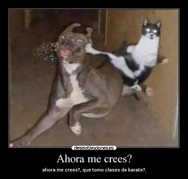 Ahora me crees? - 