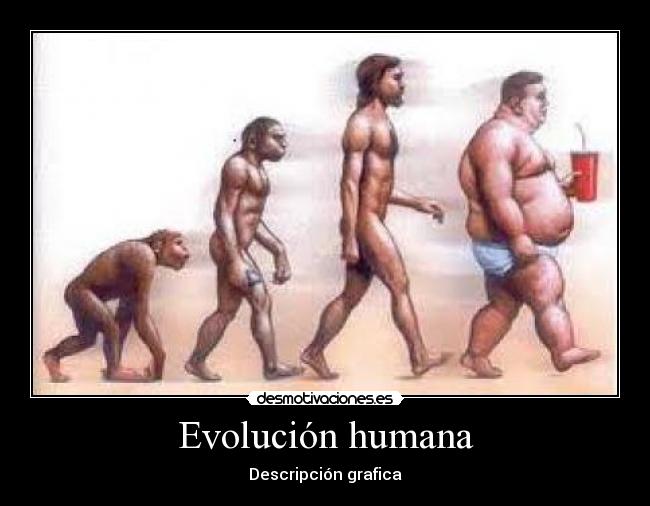 Evolución humana - Descripción grafica
