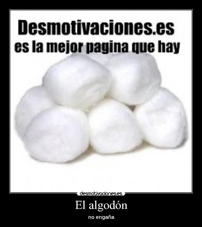 El algodón -