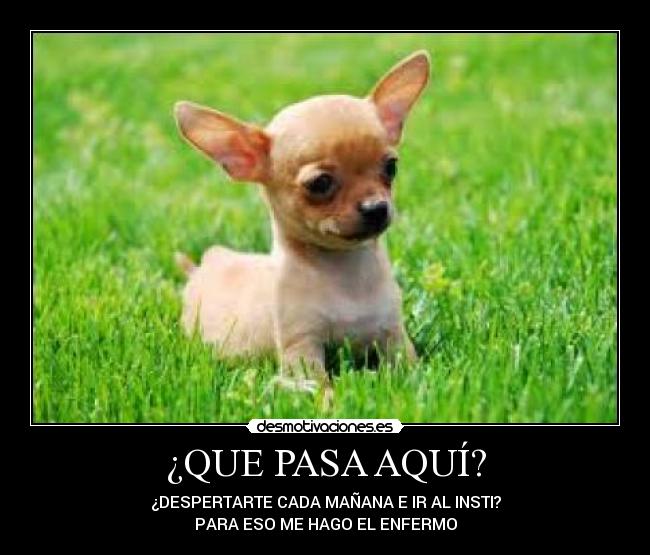 ¿QUE PASA AQUÍ? - ¿DESPERTARTE CADA MAÑANA E IR AL INSTI?
PARA ESO ME HAGO EL ENFERMO