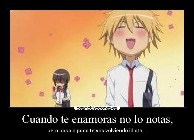 Cuando te enamoras no lo notas, - pero poco a poco te vas volviendo idiota ...