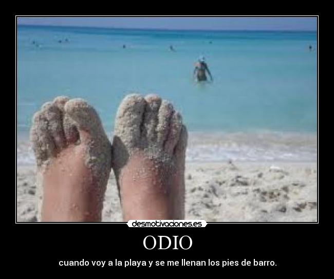 ODIO - 