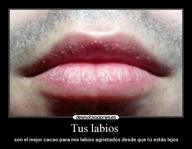 carteles amor desmotivaciones