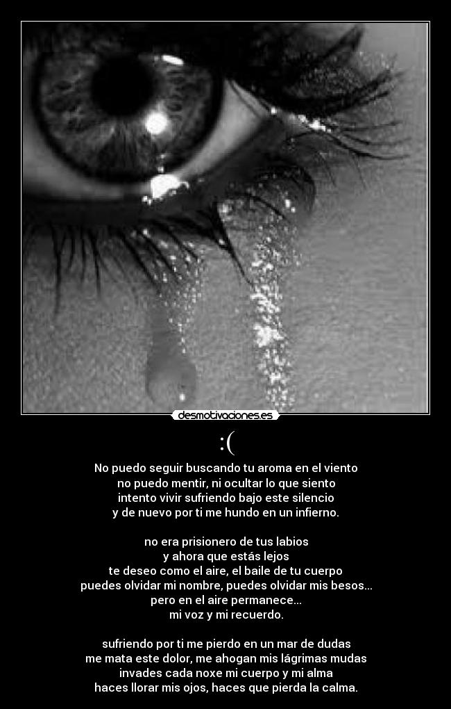 :( - No puedo seguir buscando tu aroma en el viento
no puedo mentir, ni ocultar lo que siento
intento vivir sufriendo bajo este silencio
y de nuevo por ti me hundo en un infierno.

no era prisionero de tus labios
y ahora que estás lejos
te deseo como el aire, el baile de tu cuerpo
puedes olvidar mi nombre, puedes olvidar mis besos...
pero en el aire permanece...
mi voz y mi recuerdo.

sufriendo por ti me pierdo en un mar de dudas
me mata este dolor, me ahogan mis lágrimas mudas
invades cada noxe mi cuerpo y mi alma
haces llorar mis ojos, haces que pierda la calma.