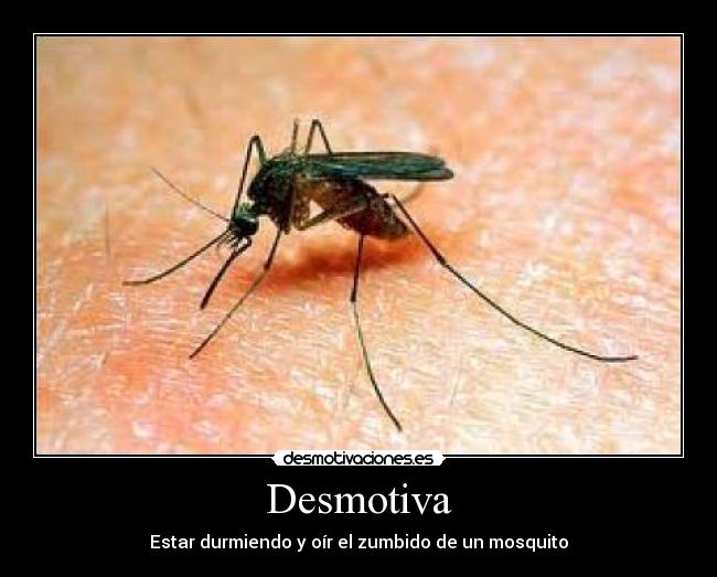 Desmotiva - 