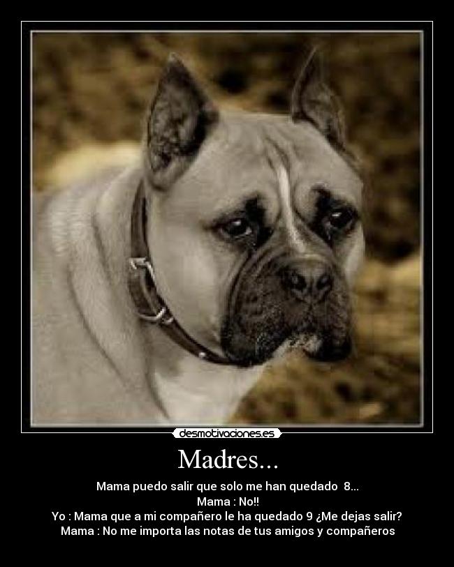 Madres... - 
