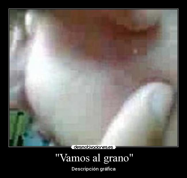 Vamos al grano - Descripción gráfica