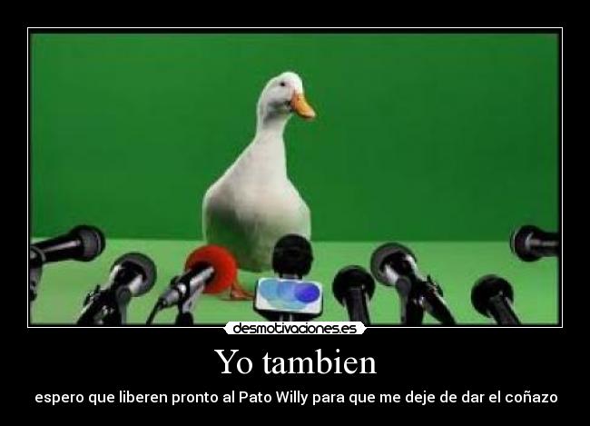 Yo tambien -