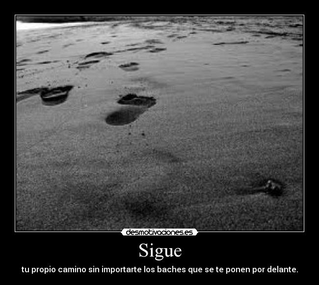 Sigue - 