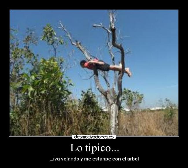 Lo tipico... - ...iva volando y me estanpe con el arbol