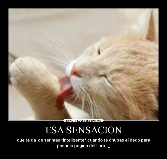 ESA SENSACION - 