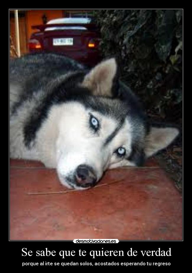 Se sabe que te quieren de verdad - porque al irte se quedan solos, acostados esperando tu regreso