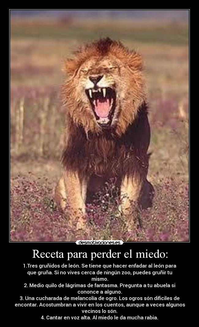 Receta para perder el miedo: - 1.Tres gruñidos de león. Se tiene que hacer enfadar al león para
que gruña. Si no vives cerca de ningún zoo, puedes gruñir tu
mismo.
2. Medio quilo de lágrimas de fantasma. Pregunta a tu abuela si
cononce a alguno.
3. Una cucharada de melancolía de ogro. Los ogros són dificiles de
encontar. Acostumbran a vivir en los cuentos, aunque a veces algunos
vecinos lo són.
4. Cantar en voz alta. Al miedo le da mucha rabia.
