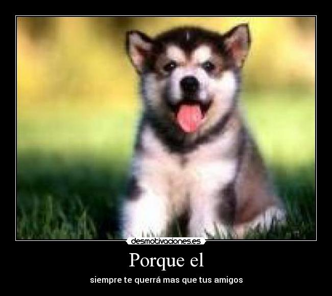 Porque el - siempre te querrá mas que tus amigos
